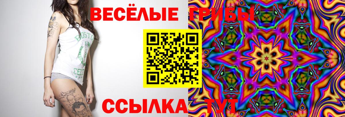 Псилоцибиновые грибы ЛСД  Вход с VPN  Долгопрудный 